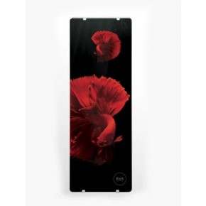 Алюминиевый радиатор декоративный DECORATIVE 7секц,бел/черн/золото 1500*500*8 - фото - 6