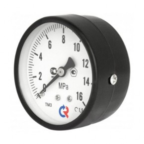 ТМ-310Т Манометр (0-6бар) 63мм - фото - 2