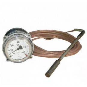 Термометр ТКП-100Эк-(0-120*С)-2,5м-125мм - фото - 1