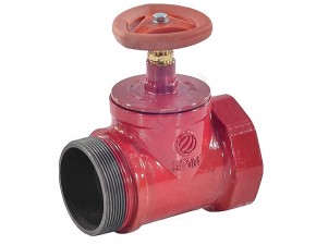 Клапан пожарный КПЧП 50-1 муфта-цапка (ВР/НР) - фото - 1