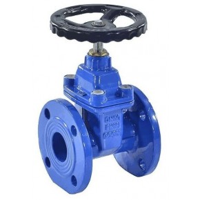 Задвижка 30ч39р (МЗВ) с обрезиненным клином Ду65 - фото - 2