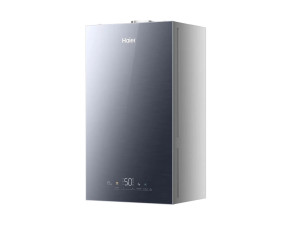 Газовый настенный котел Haier EvoLine 2.32 Ti - фото - 4