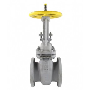 Задвижка 30с41нж (ЗКЛ-2-16-газ) Ду 50 - фото - 1