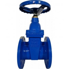 Задвижка 30ч39р с обрезиненным клином Ду100 - фото - 1