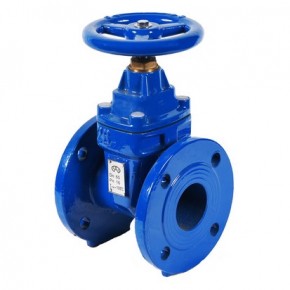 Задвижка 30ч39р с обрезиненным клином Ду80 - фото - 1