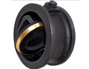 Клапан обратный поворотный межфланцевый чугунный 19ч21бр Ду 080 - фото - 1